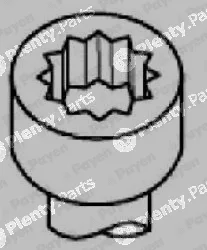 Payen HBS539 — Cylinder Head Bolt Set