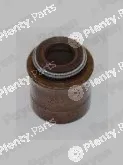 Payen PA387 — Seal Ring, valve stem