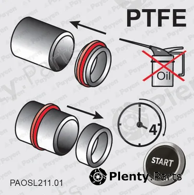 Payen NA5458 — Shaft Seal, camshaft