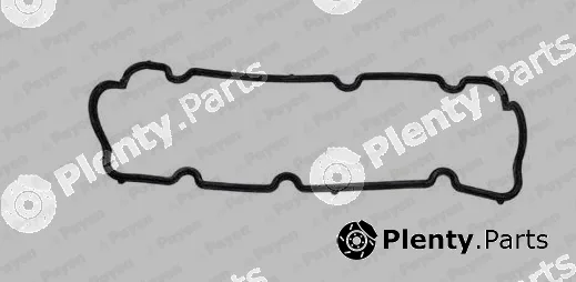 Payen JM7169 — Gasket, cylinder head cover