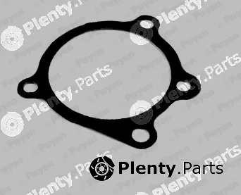 Payen KA289 — Gasket, water pump