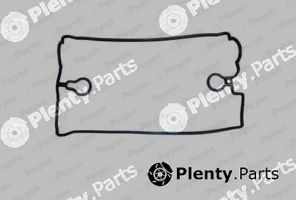 Payen JN768 — Gasket, cylinder head cover