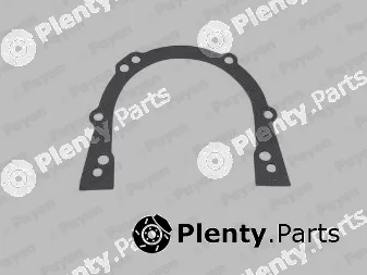 Payen LT043 — Gasket, timing case