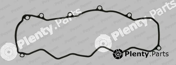 Payen JP069 — Gasket, cylinder head cover