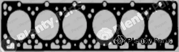 Payen BN510 — Gasket, cylinder head