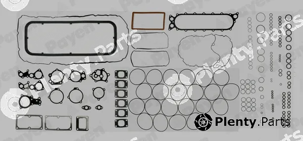 Payen FA5010 — Full Gasket Kit, engine