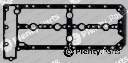 Payen JM7108 — Gasket, cylinder head cover