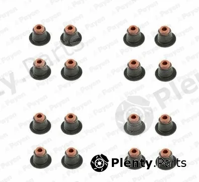 Payen HR5086 — Seal Set, valve stem