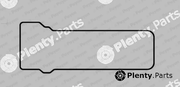 Payen JN954 — Gasket, cylinder head cover