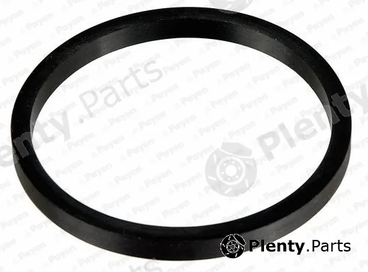 Payen KK5685 — Seal Ring, oil cooler