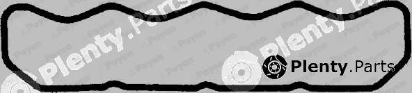 Payen JM350 — Gasket, cylinder head cover
