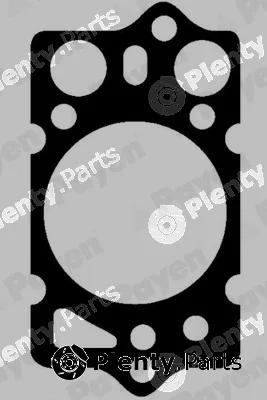 Payen BK570 — Gasket, cylinder head