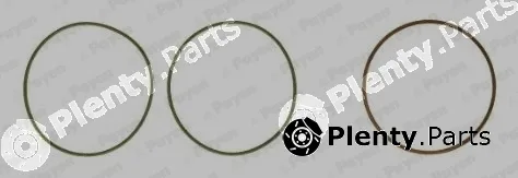 Payen HT5038 — O-Ring Set, cylinder sleeve