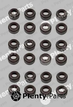 Payen HR5055 — Seal Set, valve stem