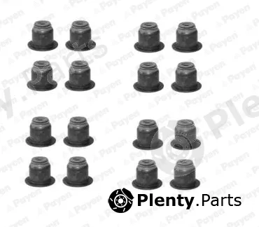 Payen HR5124 — Seal Set, valve stem