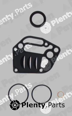 Payen EY841 — Gasket Kit, crankcase