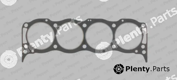 Payen AY200 — Gasket, cylinder head