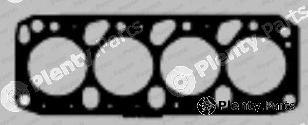 Payen BW021 — Gasket, cylinder head