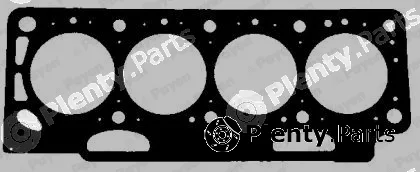 Payen BS531 — Gasket, cylinder head