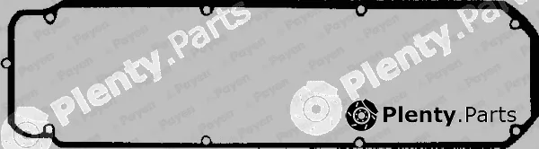 Payen JN542 — Gasket, cylinder head cover