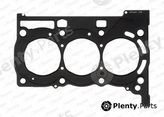 Payen AG9310 — Gasket, cylinder head