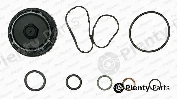 Payen EG9760 — Gasket Kit, crankcase