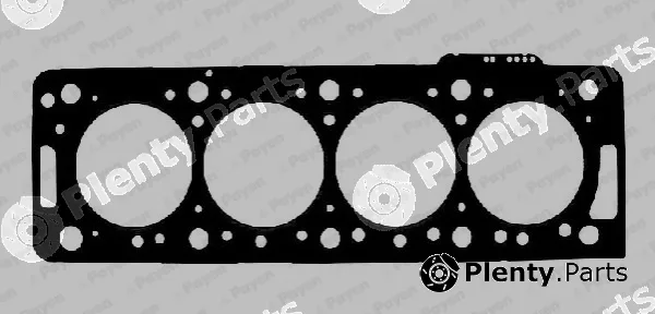 Payen AA5860 — Gasket, cylinder head