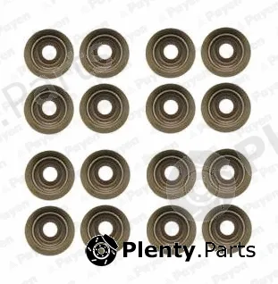 Payen HR5046 — Seal Set, valve stem