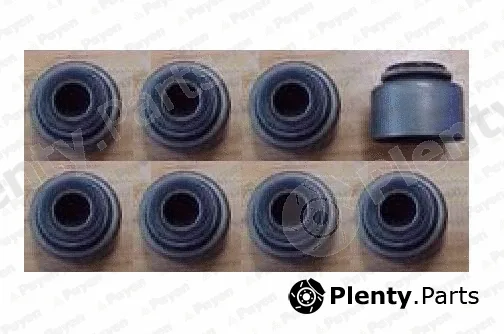 Payen HR5150 — Seal Set, valve stem