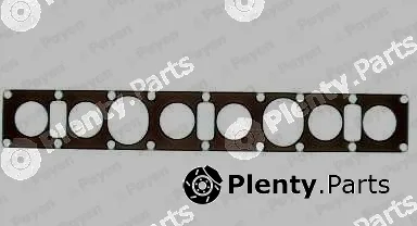 Payen JA793 — Gasket, intake manifold