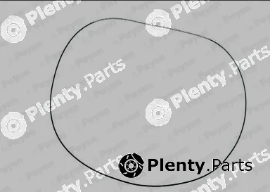 Payen JN943 — Gasket, cylinder head cover