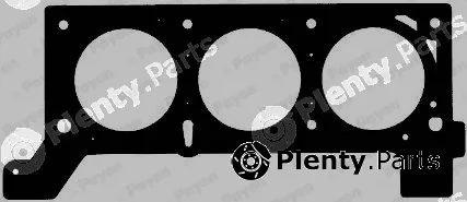 Payen AC5590 — Gasket, cylinder head