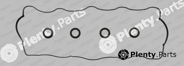 Payen HM5251 — Gasket Set, cylinder head cover