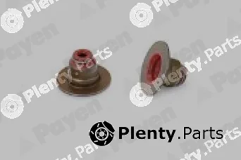 Payen PA6135 — Seal Ring, valve stem