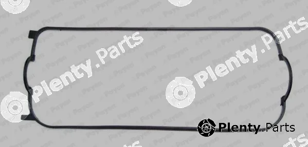 Payen JN918 — Gasket, cylinder head cover