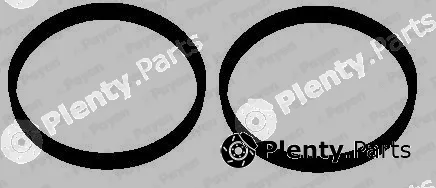 Payen HA5072 — Gasket Set, intake manifold