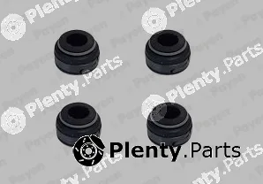 Payen HR641 — Seal Set, valve stem