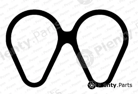 Payen JD6161 — Gasket, intake manifold