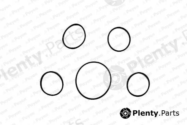 Payen HA5005 — Gasket Set, intake manifold