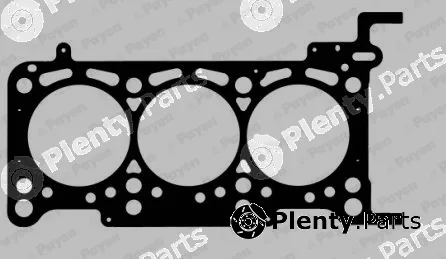 Payen AG8900 — Gasket, cylinder head