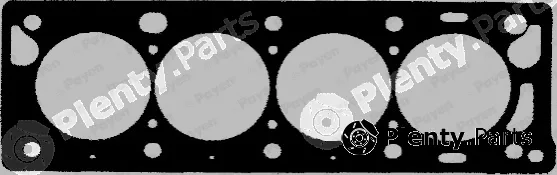 Payen BS790 — Gasket, cylinder head