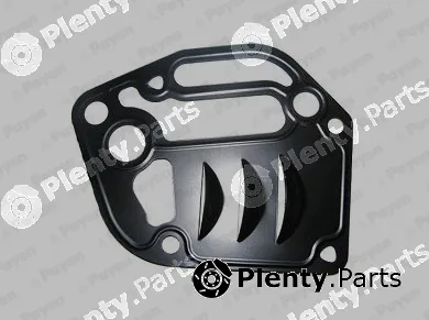 Payen KK5173 — Seal, oil filter