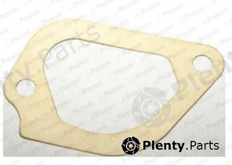 Payen LA378 — Seal, thermostat