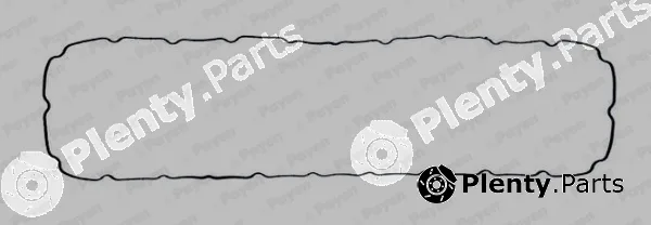 Payen JM7064 — Gasket, cylinder head cover