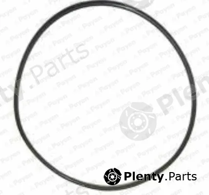 Payen PA709 — O-Ring, cylinder sleeve