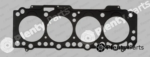 Payen AG5170 — Gasket, cylinder head