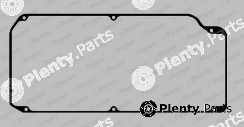 Payen JN800 — Gasket, cylinder head cover