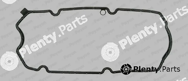 Payen JM7099 — Gasket, cylinder head cover