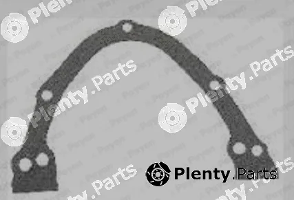Payen JR596 — Gasket, timing case