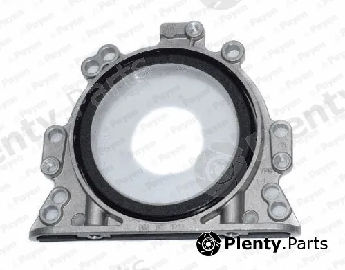Payen LK5003 — Shaft Seal, crankshaft